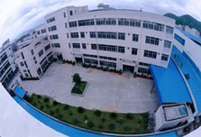 ���s�C�������